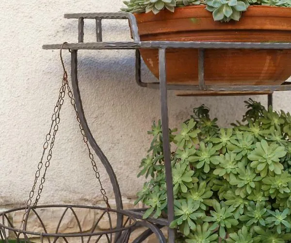 Cambi 아파트 스플리트